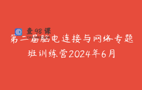 第二届脑电连接与网络专题班训练营2024年6月