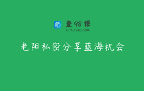老阳私密分享蓝海机会