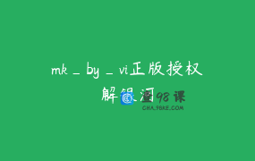 mk_by_vi正版授权解银河