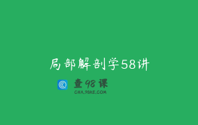 局部解剖学58讲