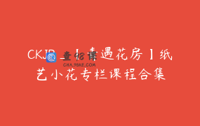 CKJR_【青遇花房】纸艺小花专栏课程合集