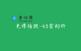 老谭陪跑-43营初阶