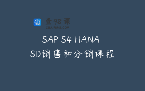 SAP S4 HANA SD销售和分销课程