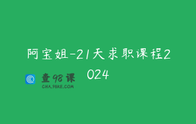阿宝姐-21天求职课程2024