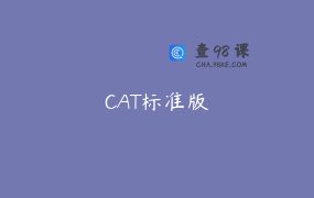 CAT标准版