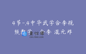 4节-.4中华武学合拳视频教学_合拳 混元炸