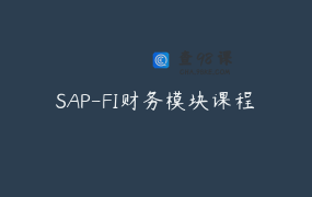 SAP-FI财务模块课程
