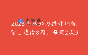 2023年感知力提升训练营_连续8周，每周2次3小时课程