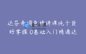达芬奇调色精讲课纯干货 好掌握 0基础入门精通达芬奇调色