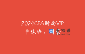 2024CPA斯南VIP带练班：财管