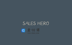 SALES HERO
