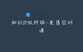 知识IP双阶班-发售密训课