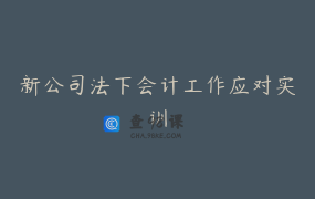 新公司法下会计工作应对实训