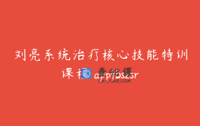 刘亮系统治疗核心技能特训课程 appfbszsrfi4966