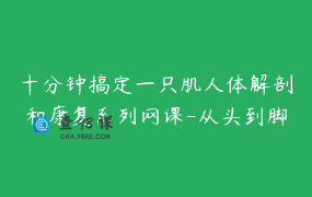 十分钟搞定一只肌人体解剖和康复系列网课-从头到脚教你学解剖与康复