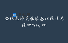 潘锴老师莱雅琴基础课程总课时40分钟