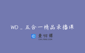 WD_五合一精品录播课