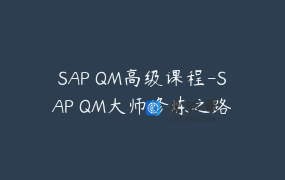 SAP QM高级课程-SAP QM大师修炼之路