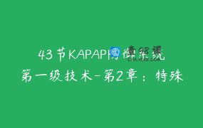 43节KAPAP防御系统第一级技术-第2章：特殊技术 _ 王武真