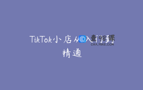 TikTok小店从入门到精通