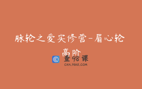 脉轮之爱实修营-眉心轮 高阶