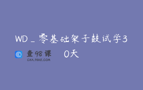 WD_零基础架子鼓试学30天