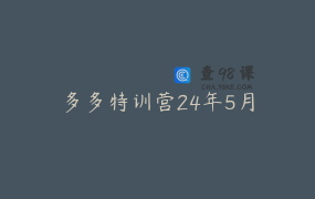 多多特训营24年5月