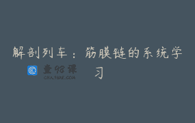 解剖列车：筋膜链的系统学习