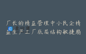 厂长的精益管理中小民企精益生产工厂底层结构敏捷扇_刘厂长讲理