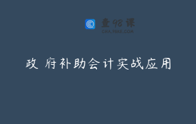政 府补助会计实战应用