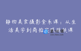 静物美食摄影全系课：从生活美学到商拍实践视频课
