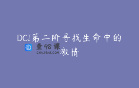DCI第二阶寻找生命中的激情