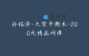 孙铭泽-九宫平衡术-200元精品网课