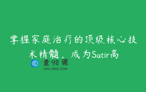 掌握家庭治疗的顶级核心技术精髓，成为Satir高级家庭治疗师（高级课）_1