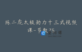 陈二虎太极劲力十三式视频课-节数75