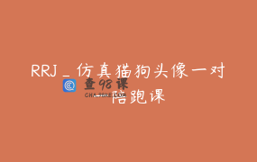 RRJ_仿真猫狗头像一对一陪跑课