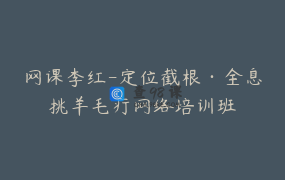 网课李红-定位截根·全息挑羊毛疔网络培训班