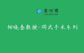 柳晓春教授-阴式手术系列