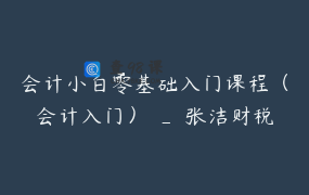 会计小白零基础入门课程（会计入门） _ 张洁财税
