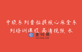 中级系列普拉提核心床全系列培训课程 高清视频 永久回放