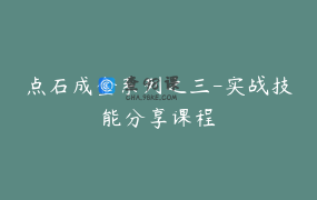 点石成金系列之三-实战技能分享课程