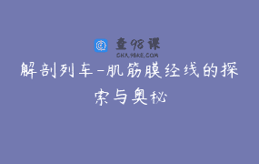 解剖列车-肌筋膜经线的探索与奥秘