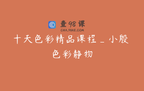 十天色彩精品课程_小殷 色彩静物