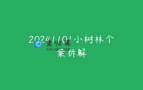 20241101小树林个案拆解