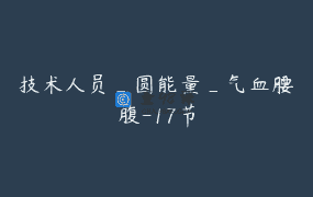 技术人员_圆能量_气血腰腹-17节
