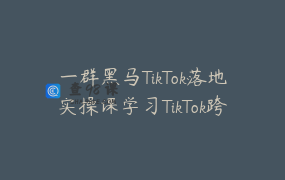 一群黑马TikTok落地实操课学习TikTok跨境电商运营教程教学培训_TK跨境-老陆