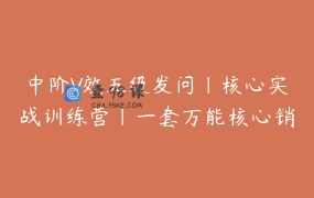 中阶V效五级发问｜核心实战训练营｜一套万能核心销售逻辑