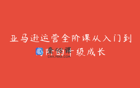 亚马逊运营全阶课从入门到高阶的十级成长