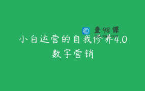 小白运营的自我修养4.0数字营销