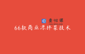66款商业凉拌菜技术